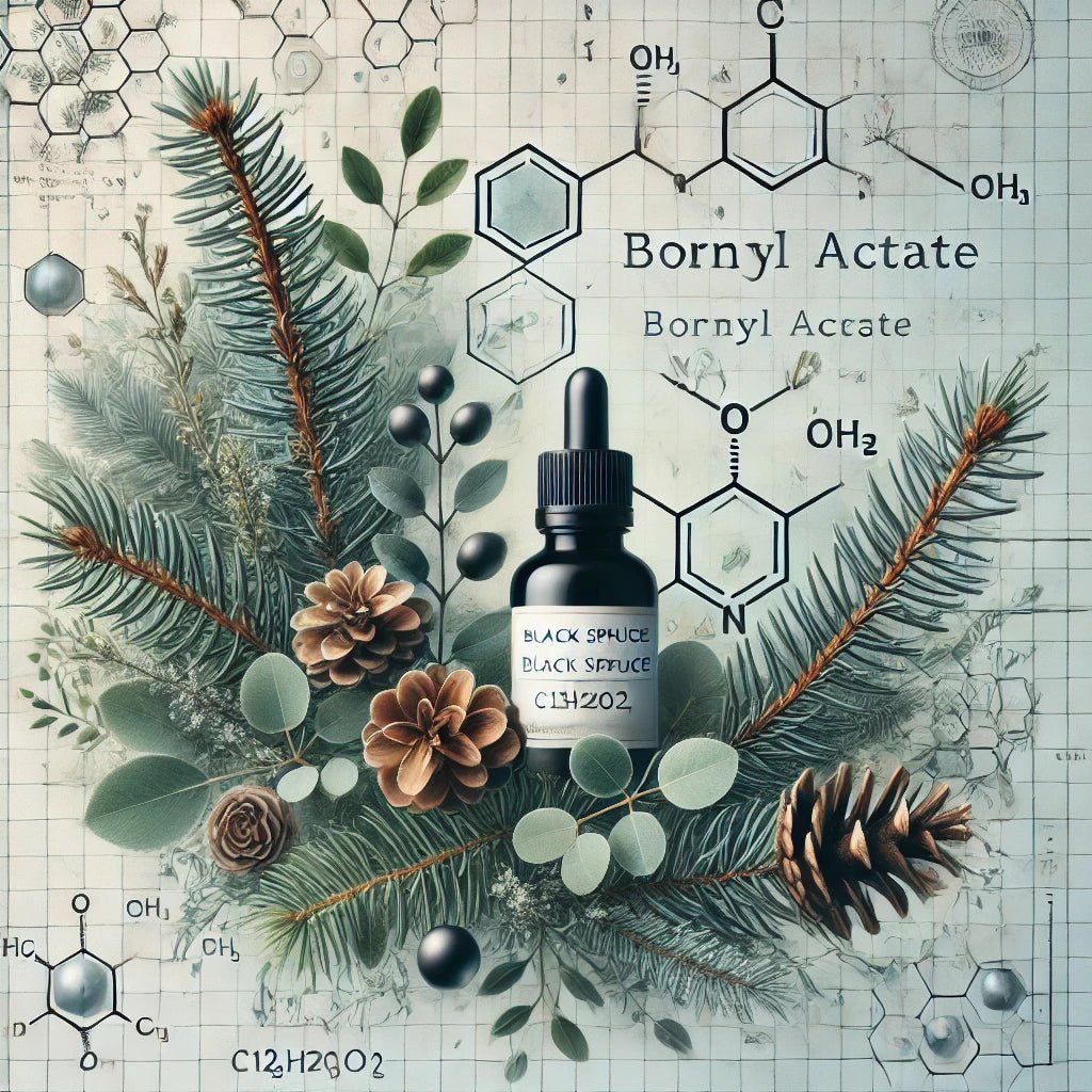 Black Spruce Essential Oil Scientific Research: Benefits, Uses and Studies - LoveHerbsOnTheHill.com