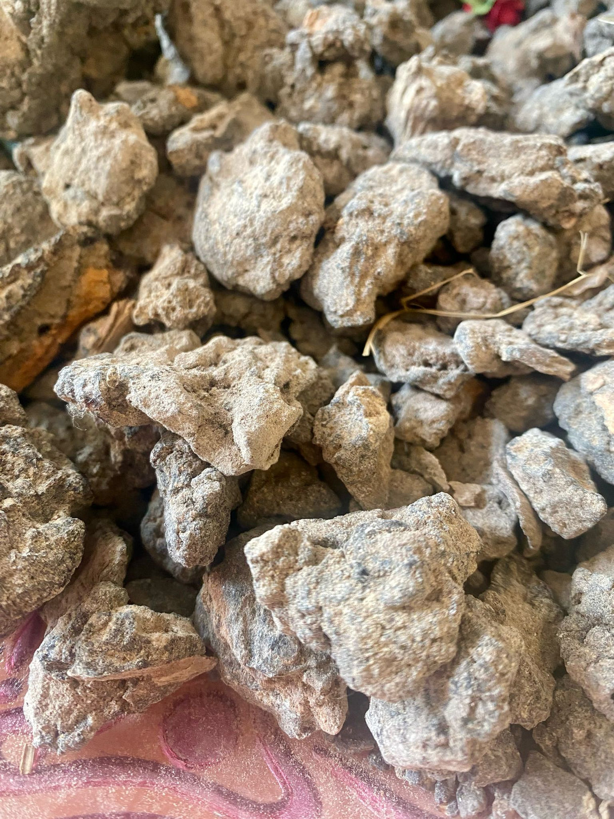 Jar of Black Frankincense 30g - The King of Incense – Sacred Smoke for Purification & Spiritual Clarity - LoveHerbsOnTheHill.com