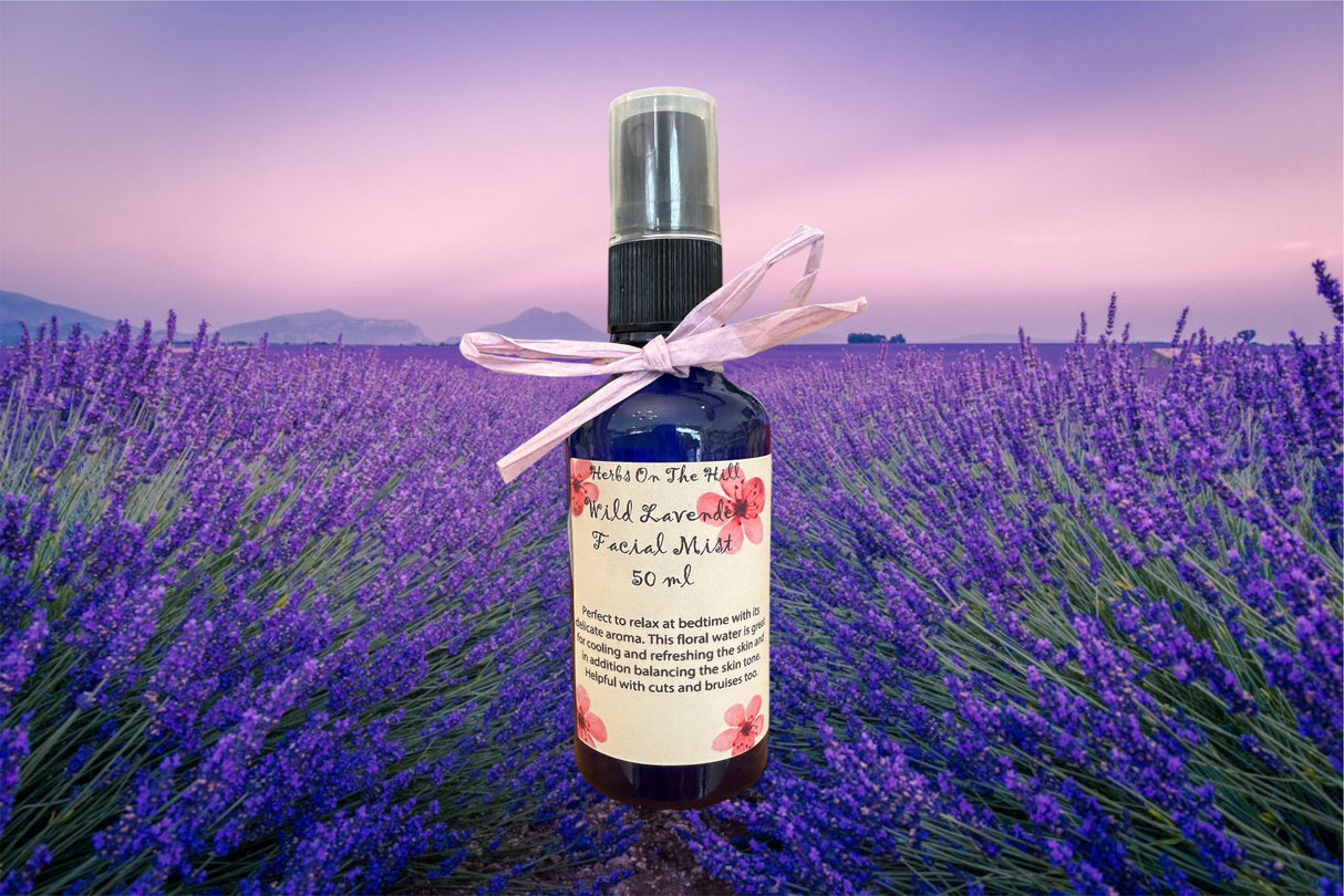 Lavender Facial Mist 50ml - LoveHerbsOnTheHill.com