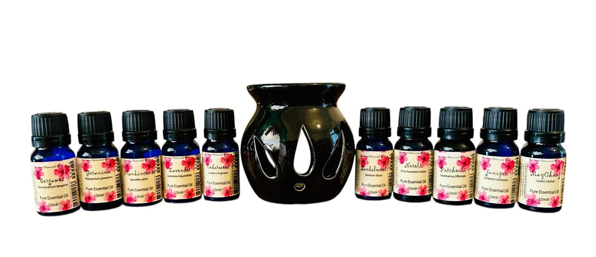 The Comfort Collection Essential Oils for Everyday Emotional Well - Being - LoveHerbsOnTheHill.com