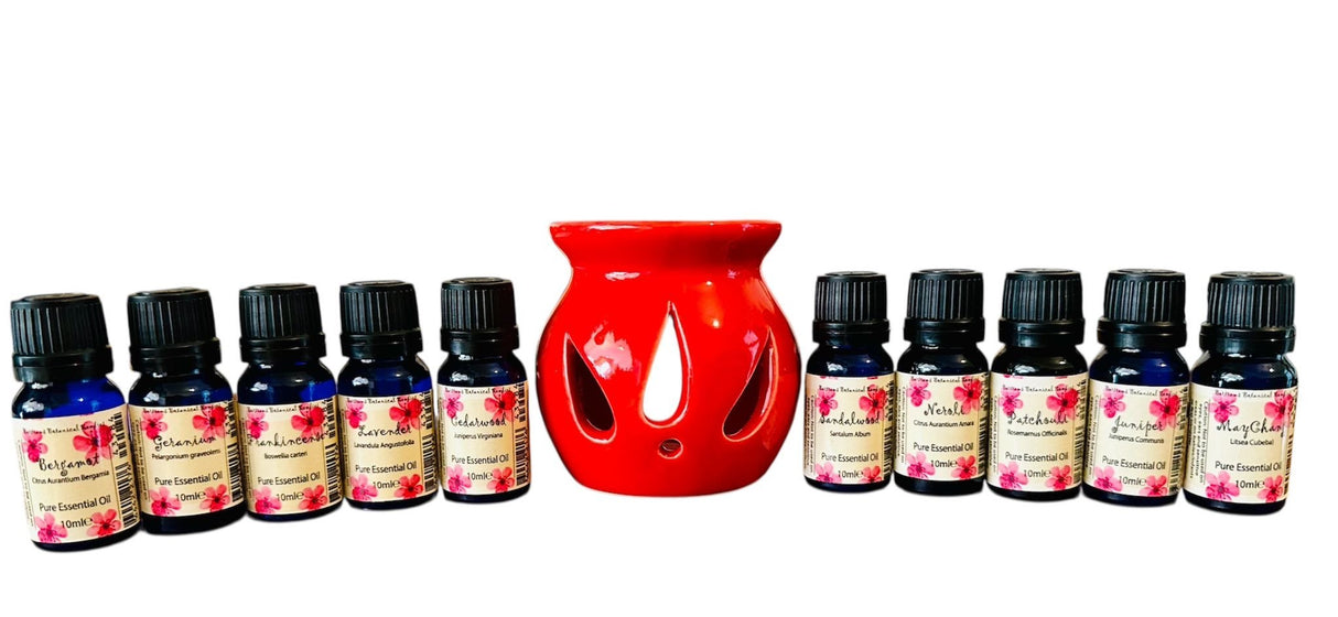 The Comfort Collection Essential Oils for Everyday Emotional Well - Being - LoveHerbsOnTheHill.com