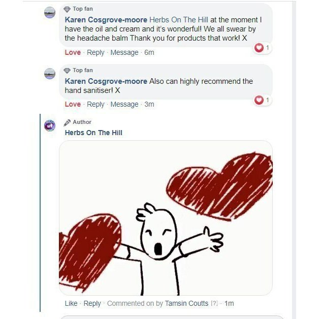 Citrus Fresh Hand Sanitiser Mist 100ml. Certified Anti Viral and Anti Bacterial - LoveHerbsOnTheHill.com