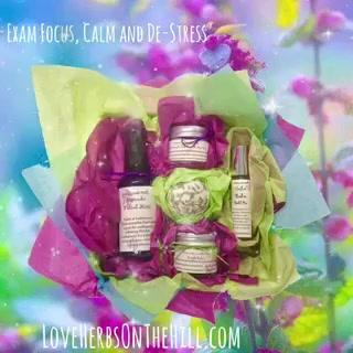 Exam & Stress Survival Kit - LoveHerbsOnTheHill.com