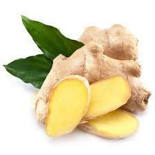 Ginger Essential Oil 10ml - LoveHerbsOnTheHill.com