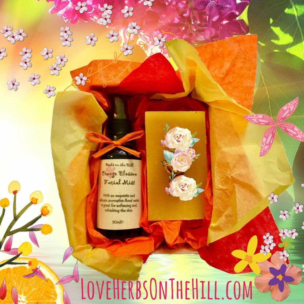 Neroli Orange Blossom Facial Mist & Soap Box - LoveHerbsOnTheHill.com