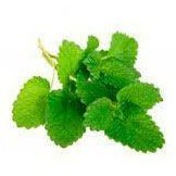 Peppermint Essential Oil - LoveHerbsOnTheHill.com