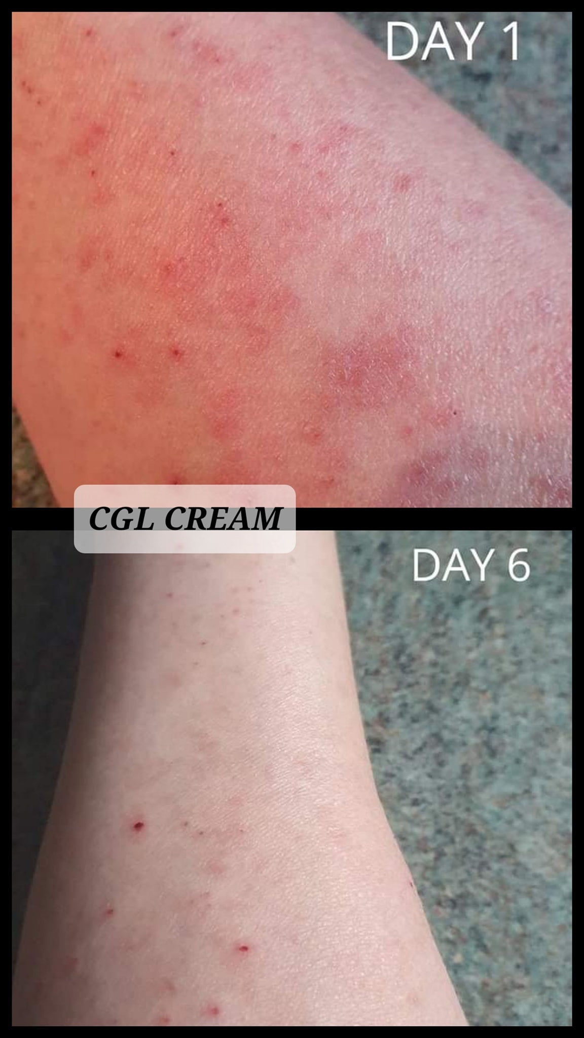 Set of 6 Dream Creams in Limited Edition Bag - LoveHerbsOnTheHill.com