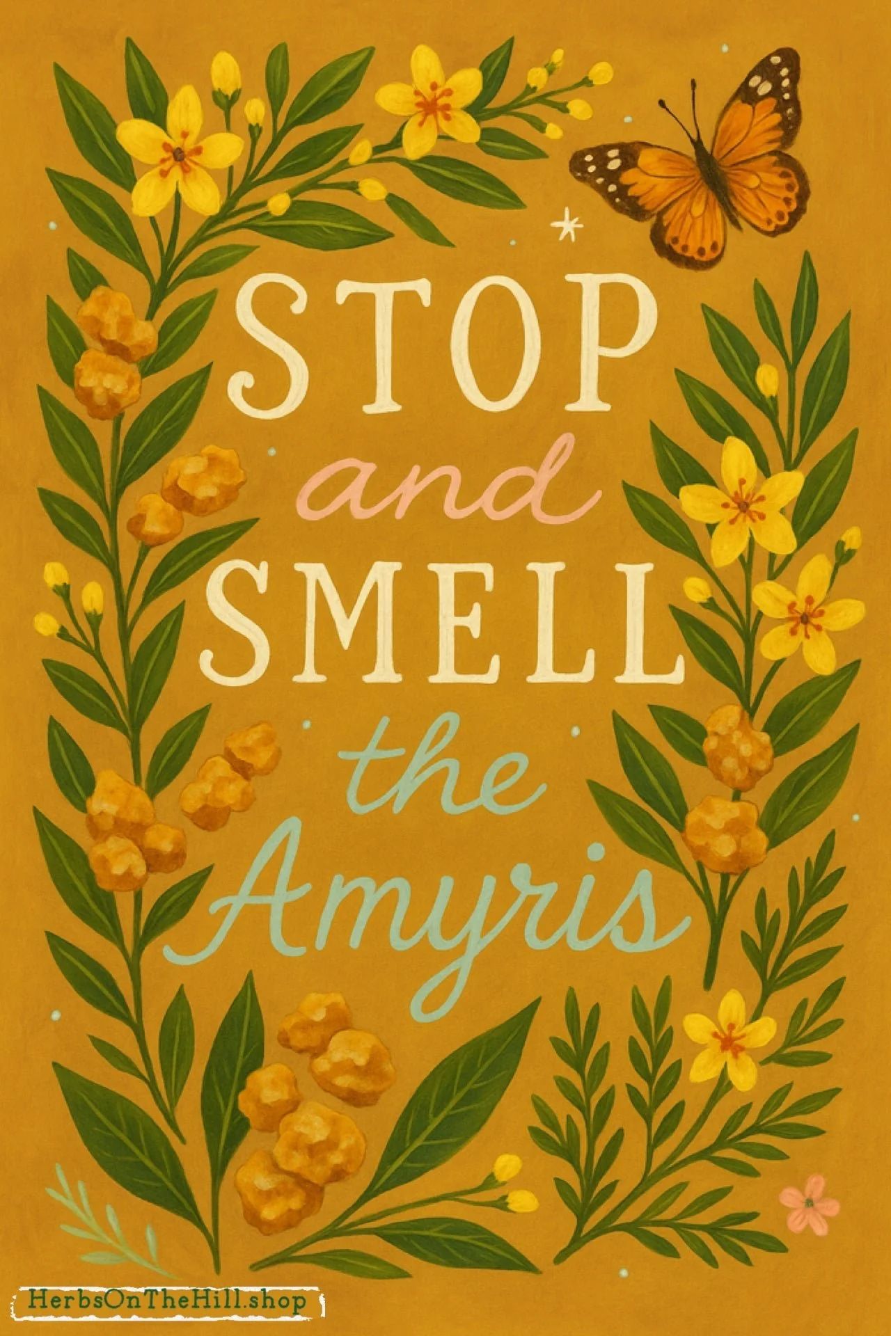 Amyris: Folklore, Magic, and Everyday Rituals - LoveHerbsOnTheHill.com
