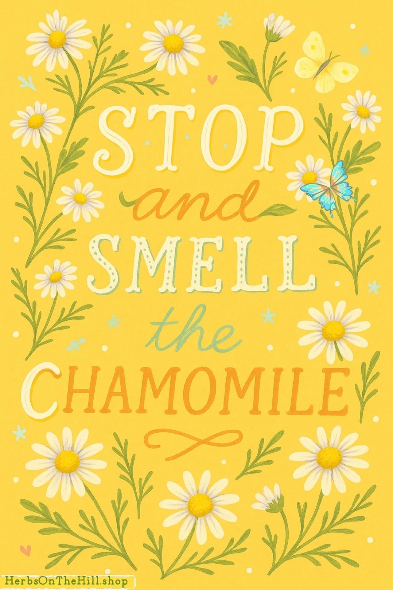 Chamomile Magic, Folklore & Rituals - LoveHerbsOnTheHill.com
