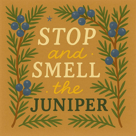 Juniper Folklore & Magic – Protection, Renewal & Everyday Clarity - LoveHerbsOnTheHill.com