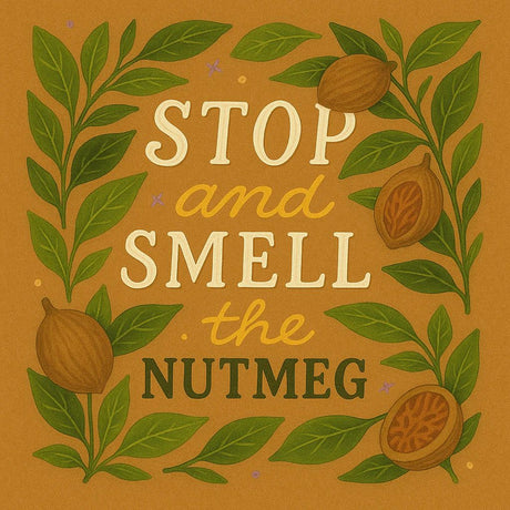 Nutmeg Folklore & Magic – Comfort, Luck & Everyday Abundance - LoveHerbsOnTheHill.com