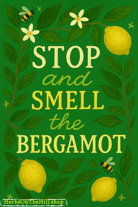 Stop and Smell the Bergamot – Folklore, Magic & Modern Aromatherapy - LoveHerbsOnTheHill.com