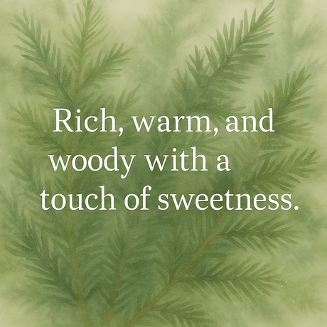 Balsamic Aromatherapy Scents - LoveHerbsOnTheHill.com