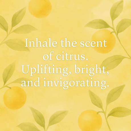 Citrus Aromatherapy Scents - LoveHerbsOnTheHill.com