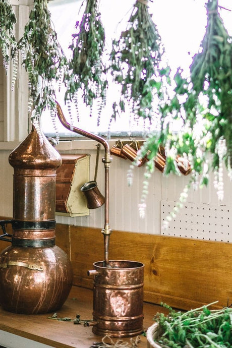 Herbs on the Hill Ingredients Guide – Natural Skincare & Botanical Benefits - LoveHerbsOnTheHill.com