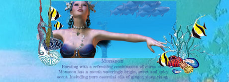 Monsoon - LoveHerbsOnTheHill.com