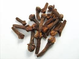 Clove Essential Oil 10ml - LoveHerbsOnTheHill.com