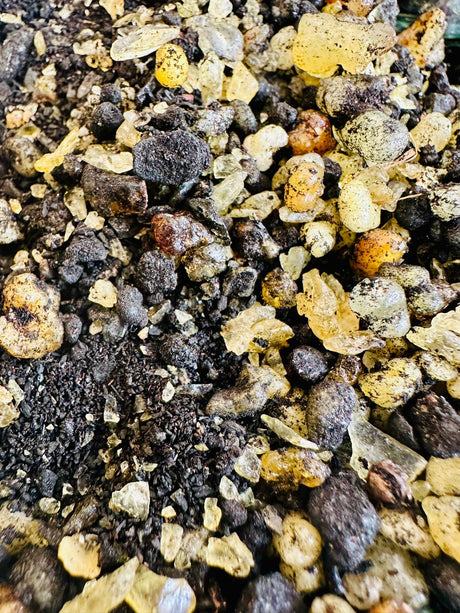 Jar of Mountain Flower 30g - The Original Soothing Blend – The Inspiration Behind Our Best - Selling CGL Cream - LoveHerbsOnTheHill.com