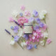 Chamomile Geranium & Lavender Cream - Transform Your Skin, Transform Your Life!