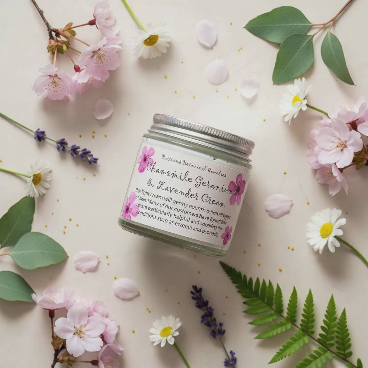 Chamomile Geranium & Lavender Cream - Transform Your Skin, Transform Your Life!