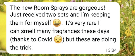 Pumpkin Spice & Yuletide Glow Spray Duo. Set of 2 Aromatherapy Room Sprays - LoveHerbsOnTheHill.com