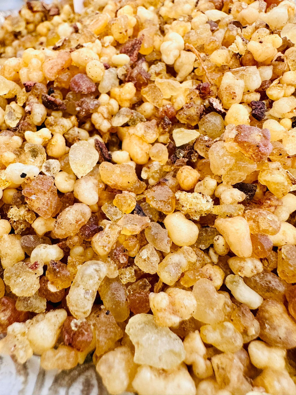 Sun Incense Jar - Bright, Fresh & Protective – A Sun - Kissed Incense for Energy & Repelling Bugs - LoveHerbsOnTheHill.com