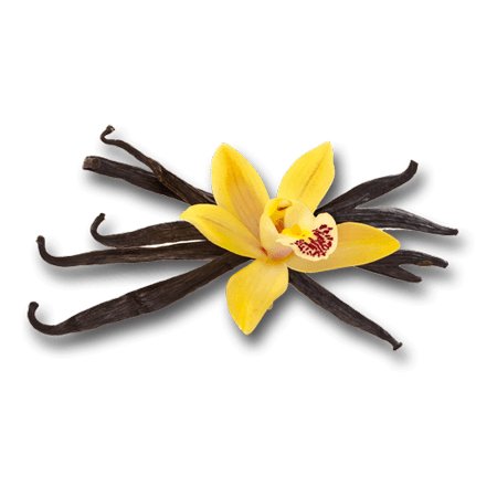 Vanilla Essential Oil 10ml - LoveHerbsOnTheHill.com