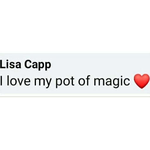 55ml Little Pot Of Magic - LoveHerbsOnTheHill.com