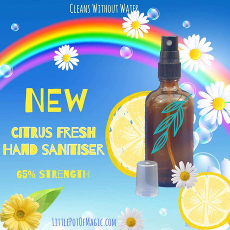 Care & Protect Pack - Citrus Fresh. With Certified Anti Viral and Anti Bacterial Hand Sanitiser. - LoveHerbsOnTheHill.com