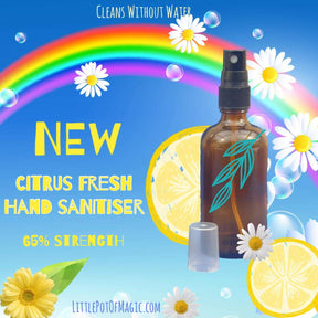 Citrus Fresh Hand Sanitiser Mist 100ml. Certified Anti Viral and Anti Bacterial - LoveHerbsOnTheHill.com