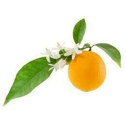 Neroli Orange Blossom 150ml Bath & Massage Oil - LoveHerbsOnTheHill.com