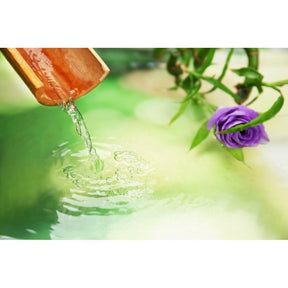 Orange & Geranium Foam Bath & Shower Gel - LoveHerbsOnTheHill.com