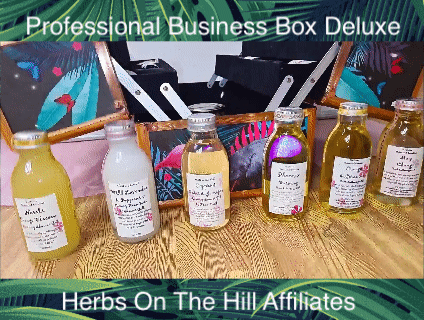 Professional Business Box Deluxe - LoveHerbsOnTheHill.com