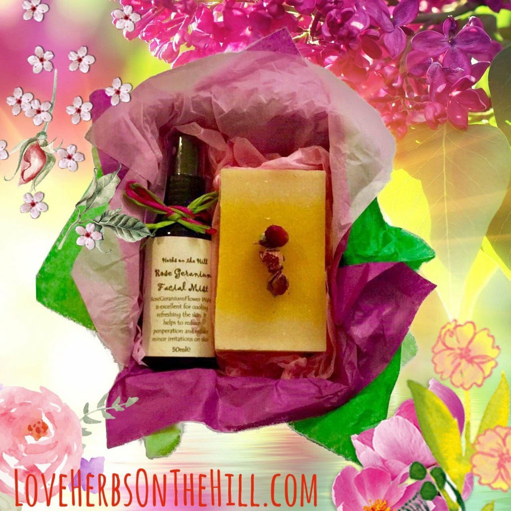 Rose Geranium Facial Mist & Soap Box - LoveHerbsOnTheHill.com