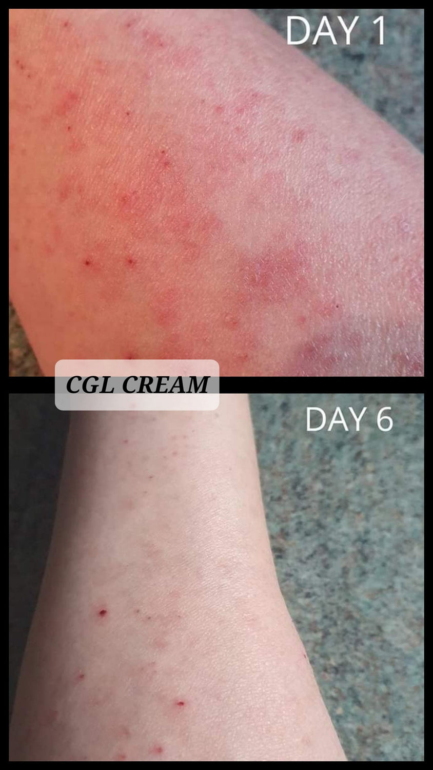 Set of 6 Dream Creams in Limited Edition Bag - LoveHerbsOnTheHill.com