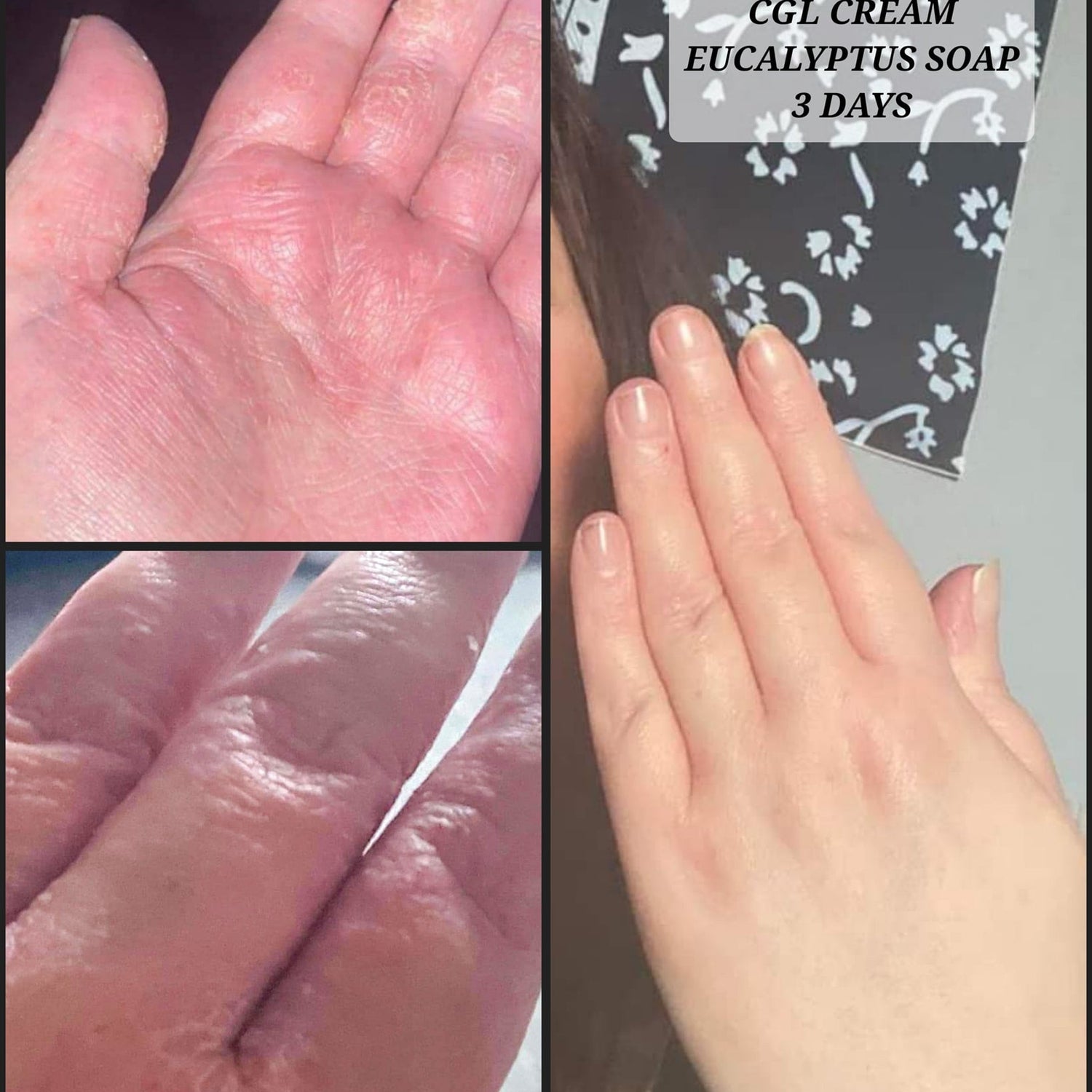 Set of 6 Dream Creams in Limited Edition Bag - LoveHerbsOnTheHill.com